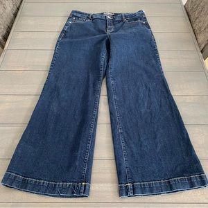 Torrid Wide Leg Jeans